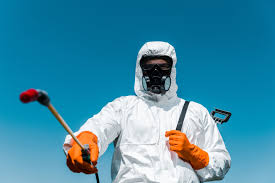 Best Bed Bug Extermination  in Morrisonville, NY